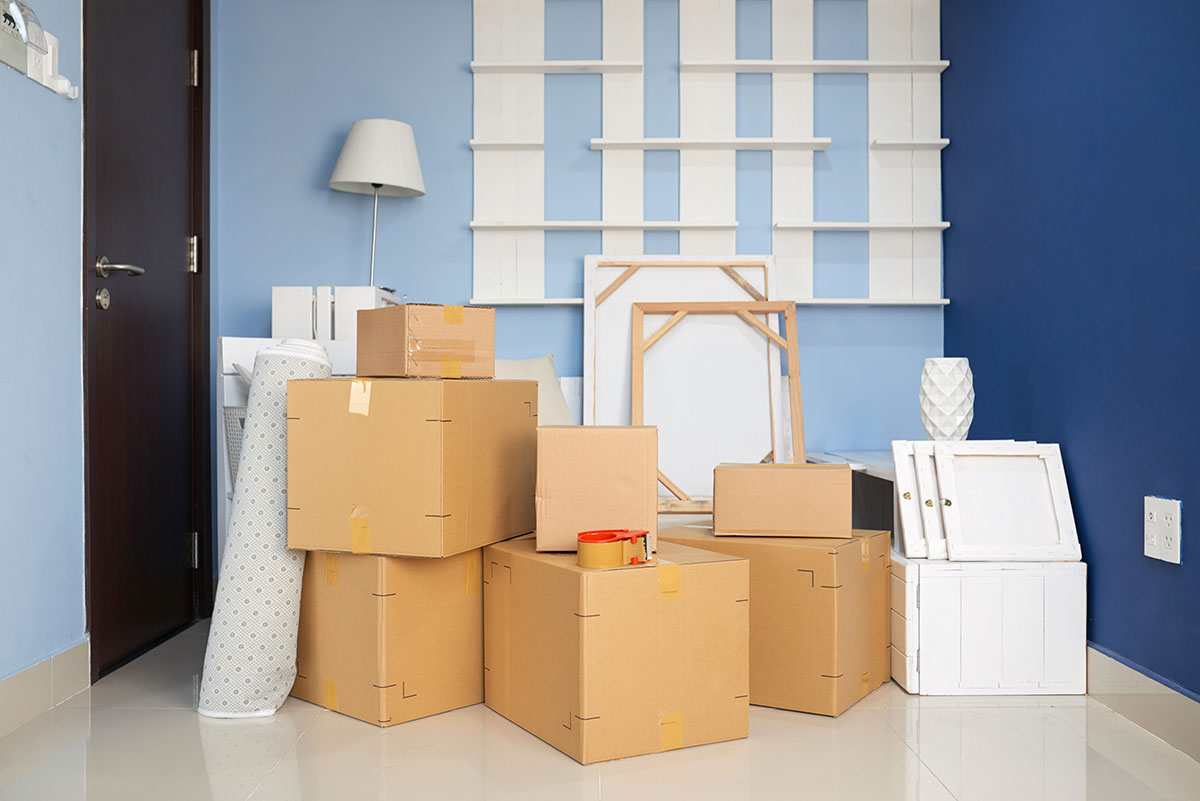 Long-Term Storage Guide